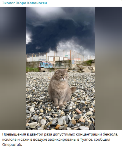 Дети приходят в крапинку: в Туапсе идёт нефтяной дождь, людям нечем дышать