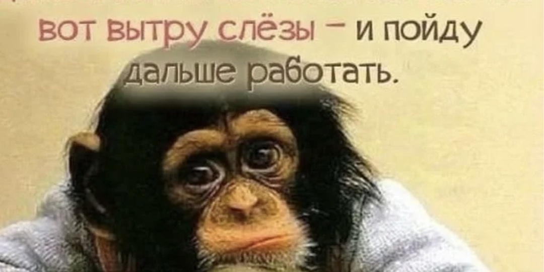 Что я делаю на работе?