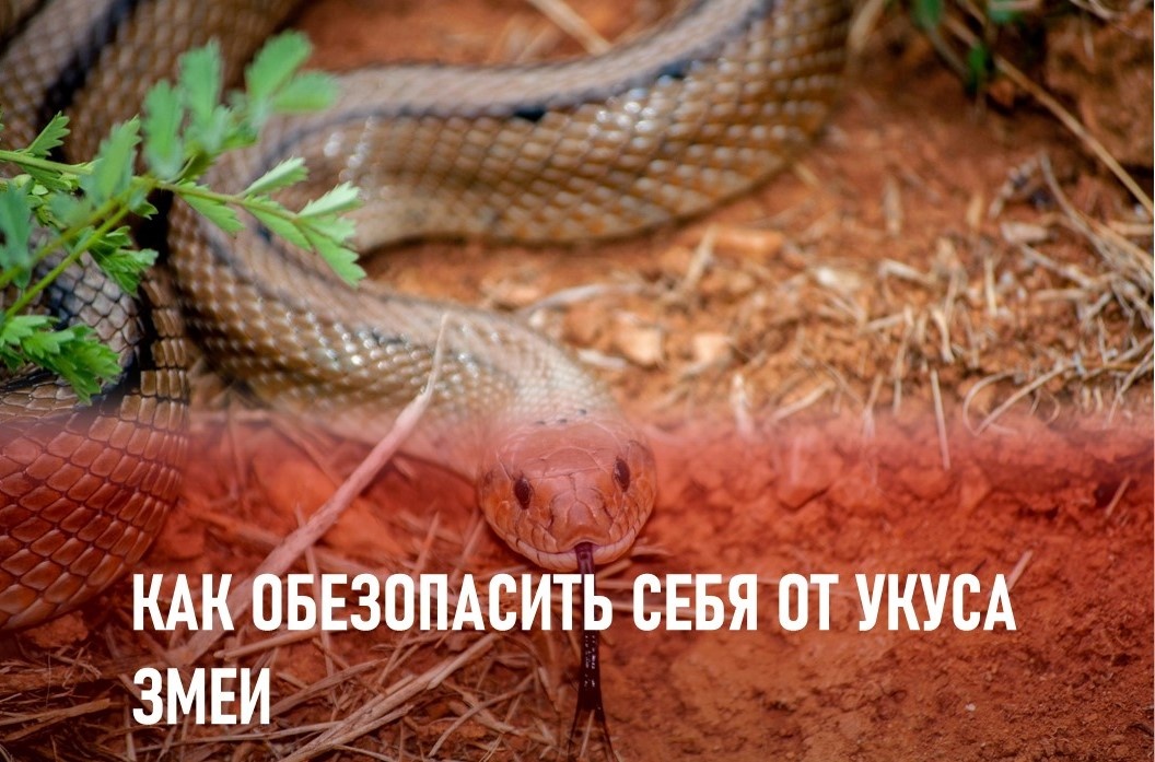 Фото: http://ru.freepik.com/