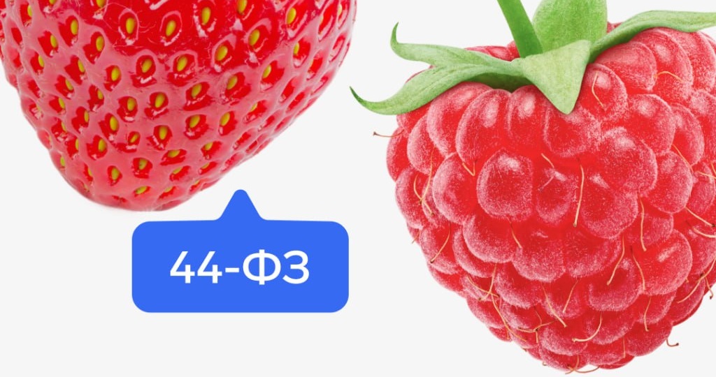 Что надо знать малому бизнесу перед участием в закупках