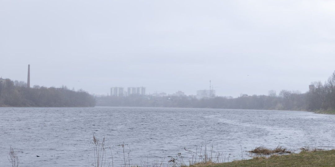 Более восьми тысяч человек в Псковской области остаются без света из-за непогоды