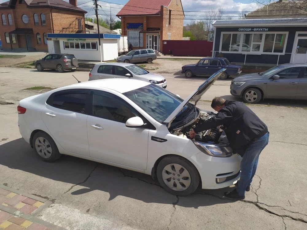    Фото автора Василий Шеин