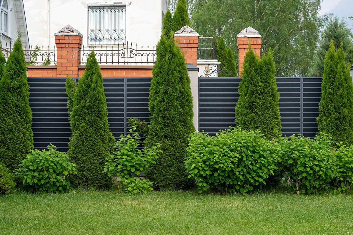 Попробуйте скомбинировать хвойные с лиственными кустарниками. Источник: sommthink / Shutterstock / FOTODOM📷
