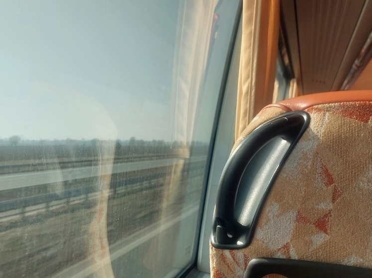     С 1 мая возобновят маршрут автобуса на Куршскую Косу. Фото: архив МК в Калининграде.