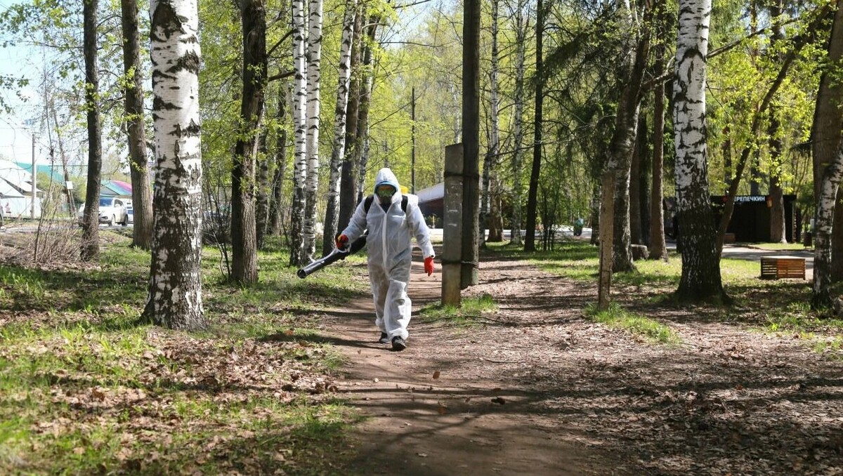   vk.com/Дмитрий Чистяков