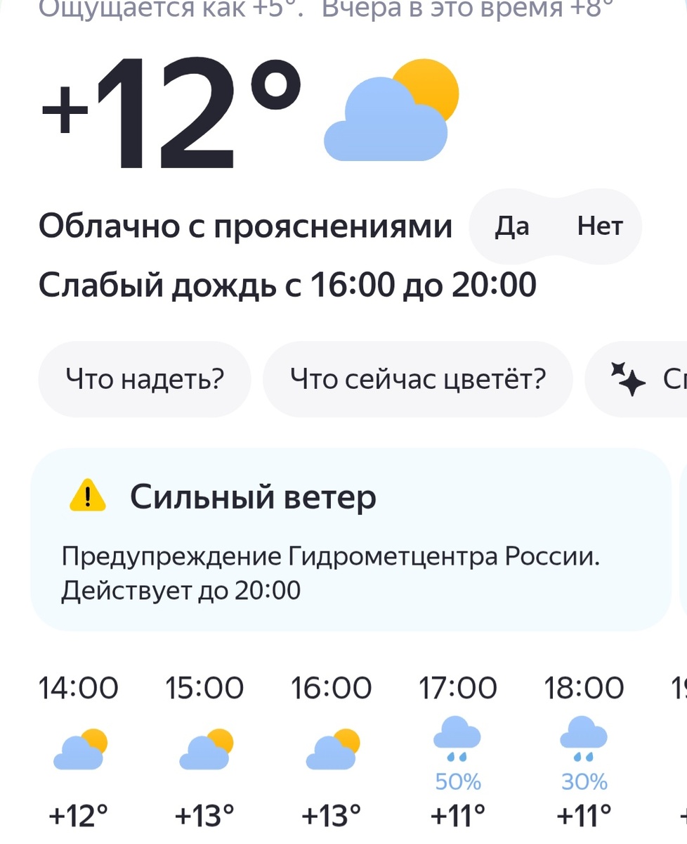 Скрин прогноза погоды