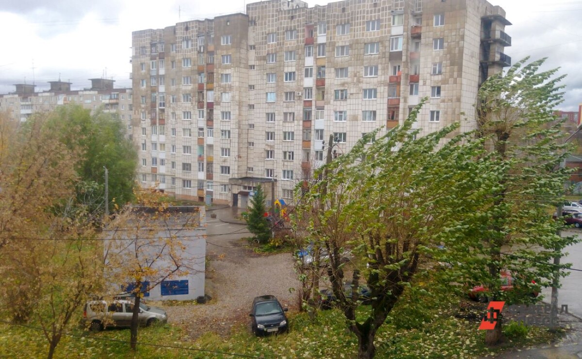 На 1-м Муринском и Светлановском проспектах упали деревья, которые задели машины.  Фото: Фото: ФедералПресс / Елена Майорова