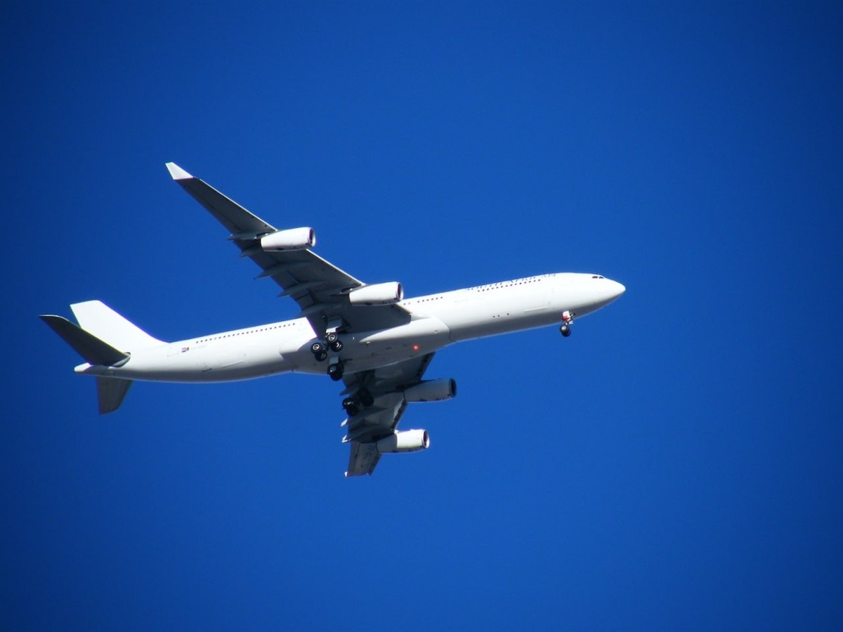 Фото: pxhere.com