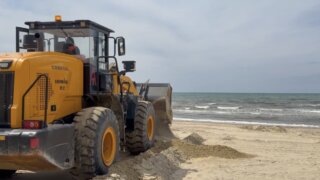В Анапе начали отсыпку песка для восстановления пляжей после ЧС с мазутом