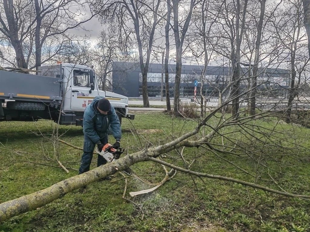 Фото: пресс-служба комитета по благоустройству