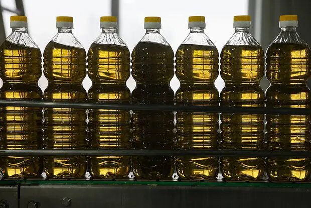    Источник: lenta.ru/ Марк Федотов