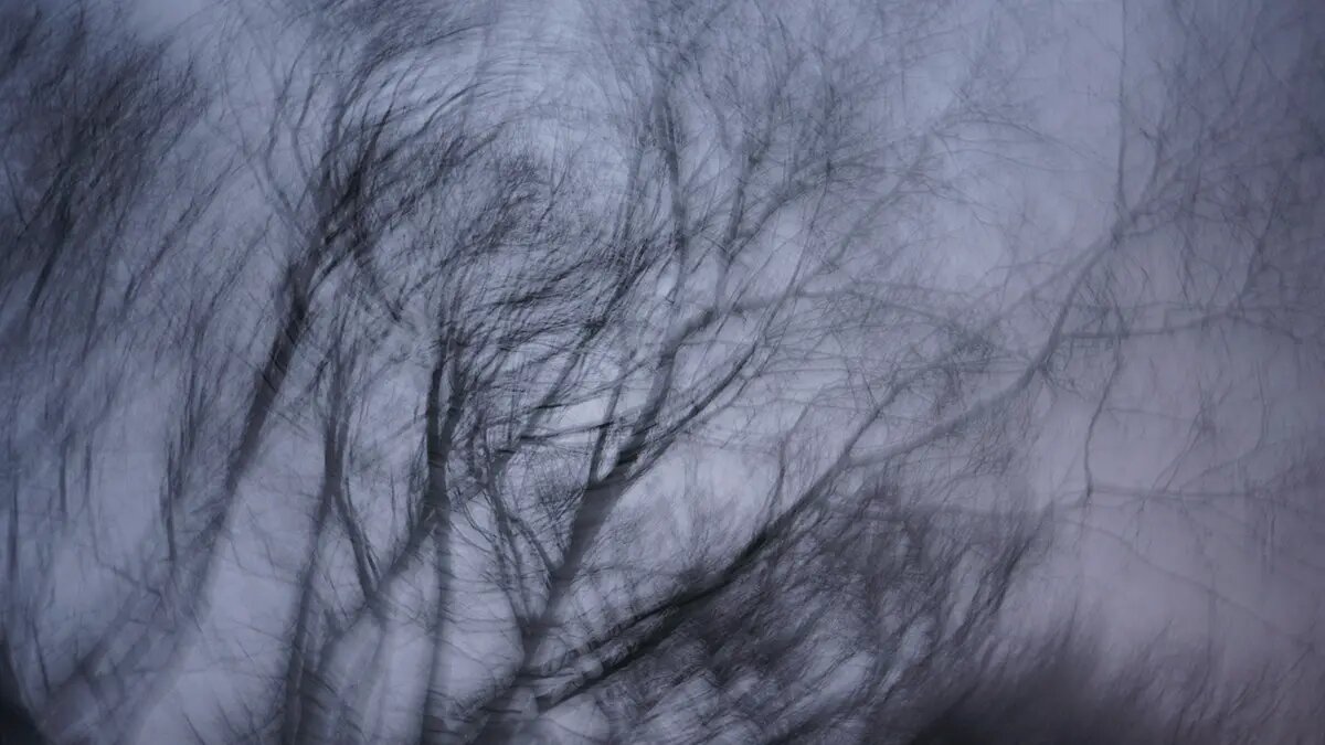    Источник: vm.ru/ Кристина Минаева