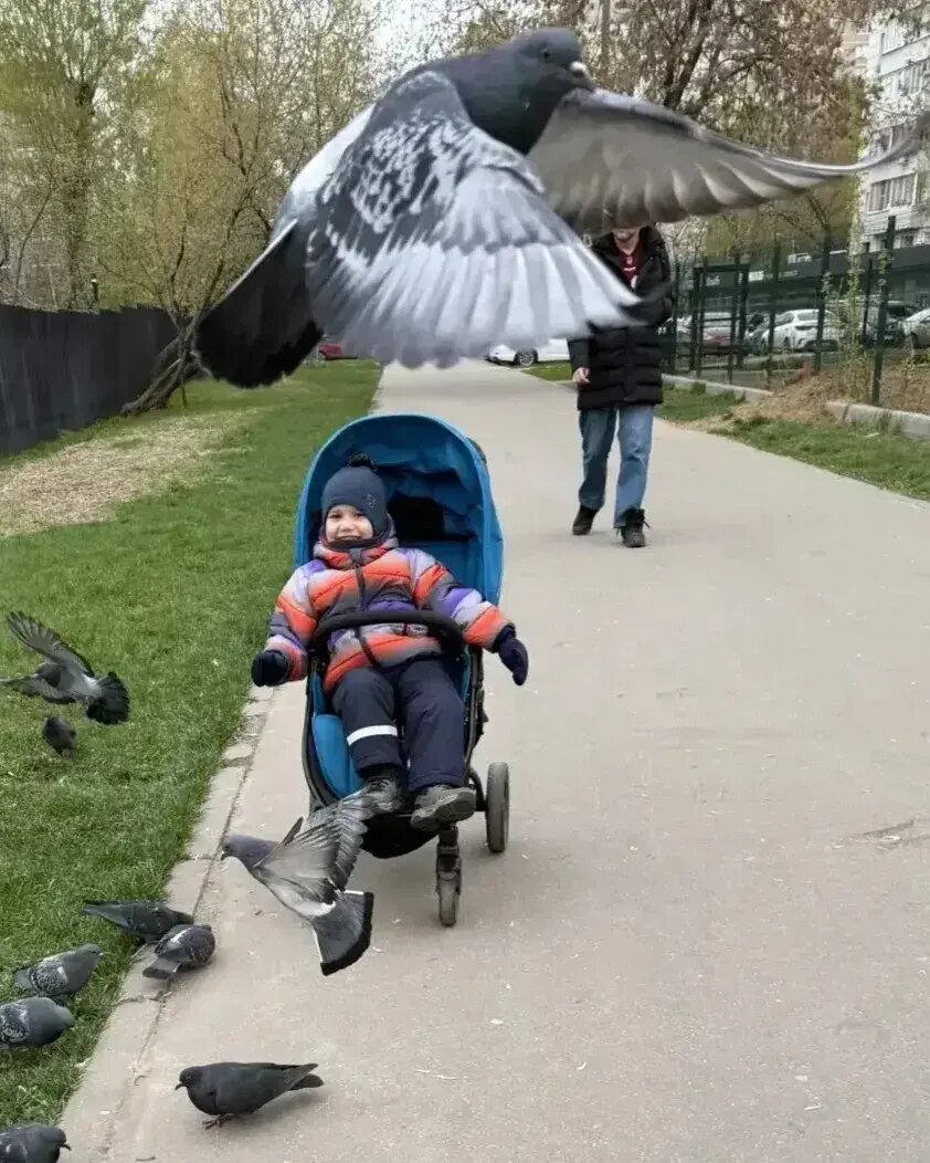 Листайте вправо, чтобы увидеть больше изображений