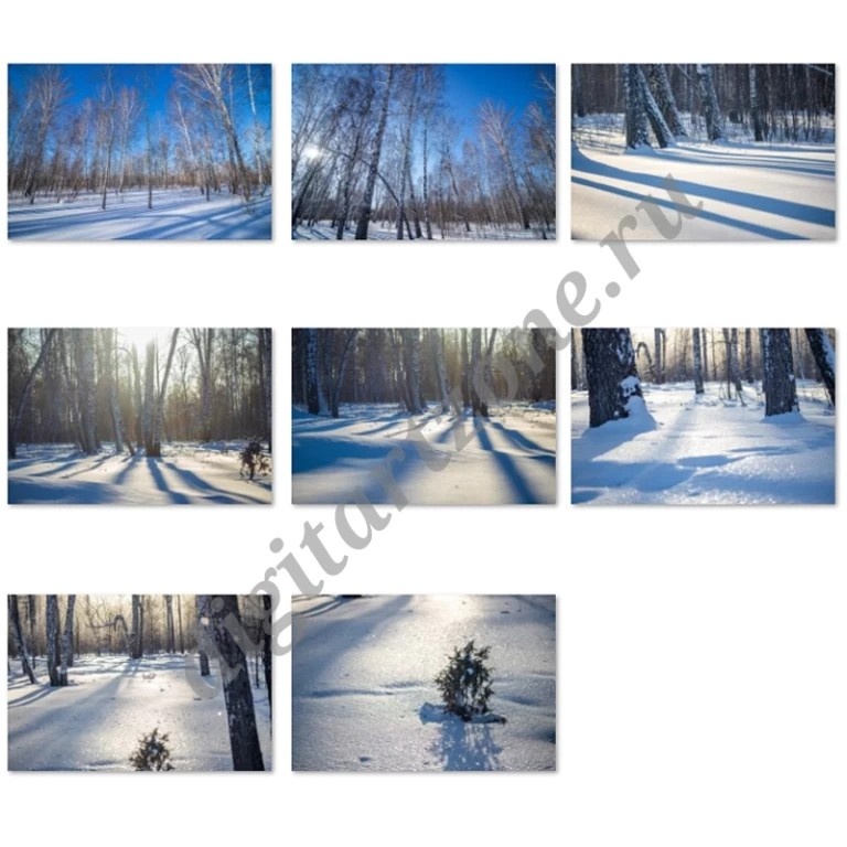 https://digitartzone.ru/fotografii/peyzazhi-zimniy-les-16080