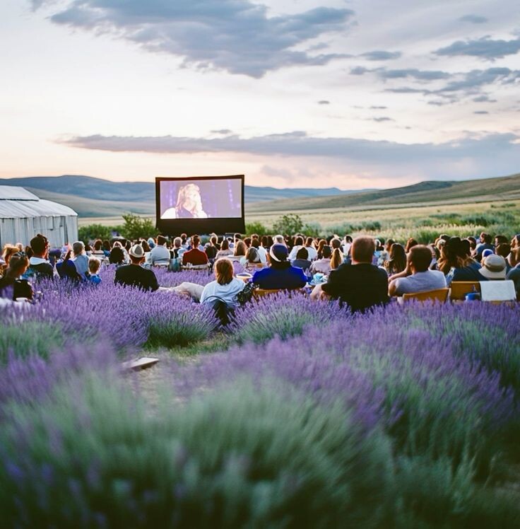 Лавандовые поля, кинотеатр под открытым небом