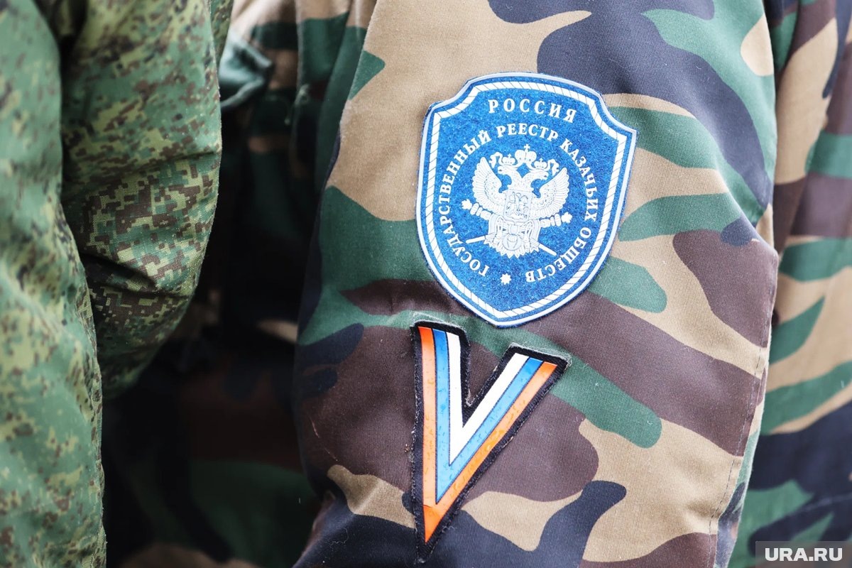     Казаки превратили район в ДНР в кладбище техники и живой силы ВСУ (архивное фото)