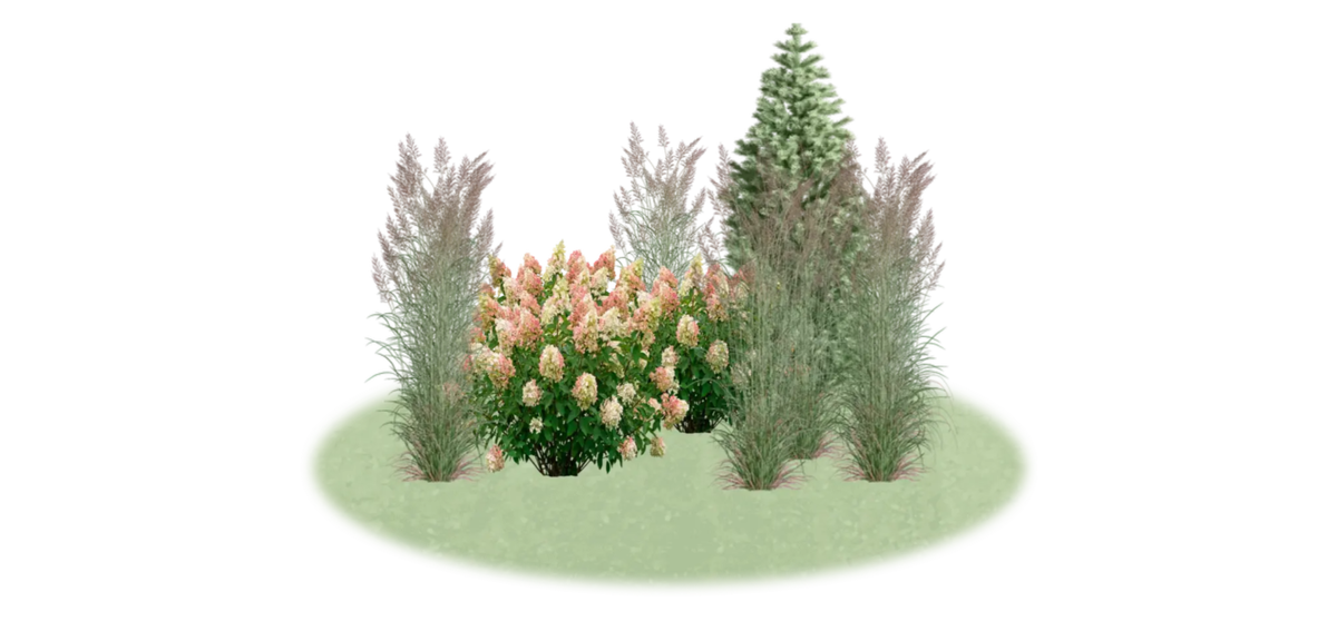 LandComp - композиция летом