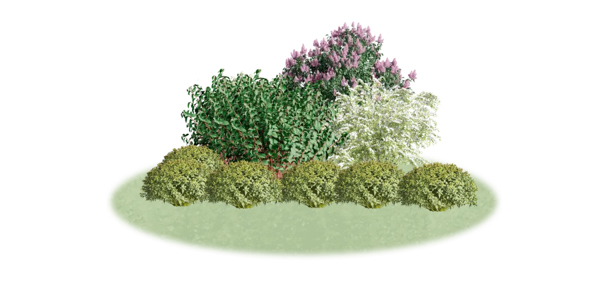 LandComp - композиция весной