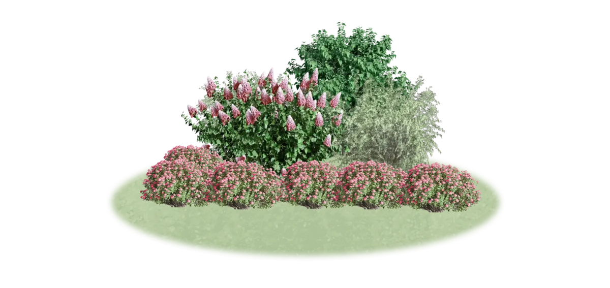 LandComp - композиция летом