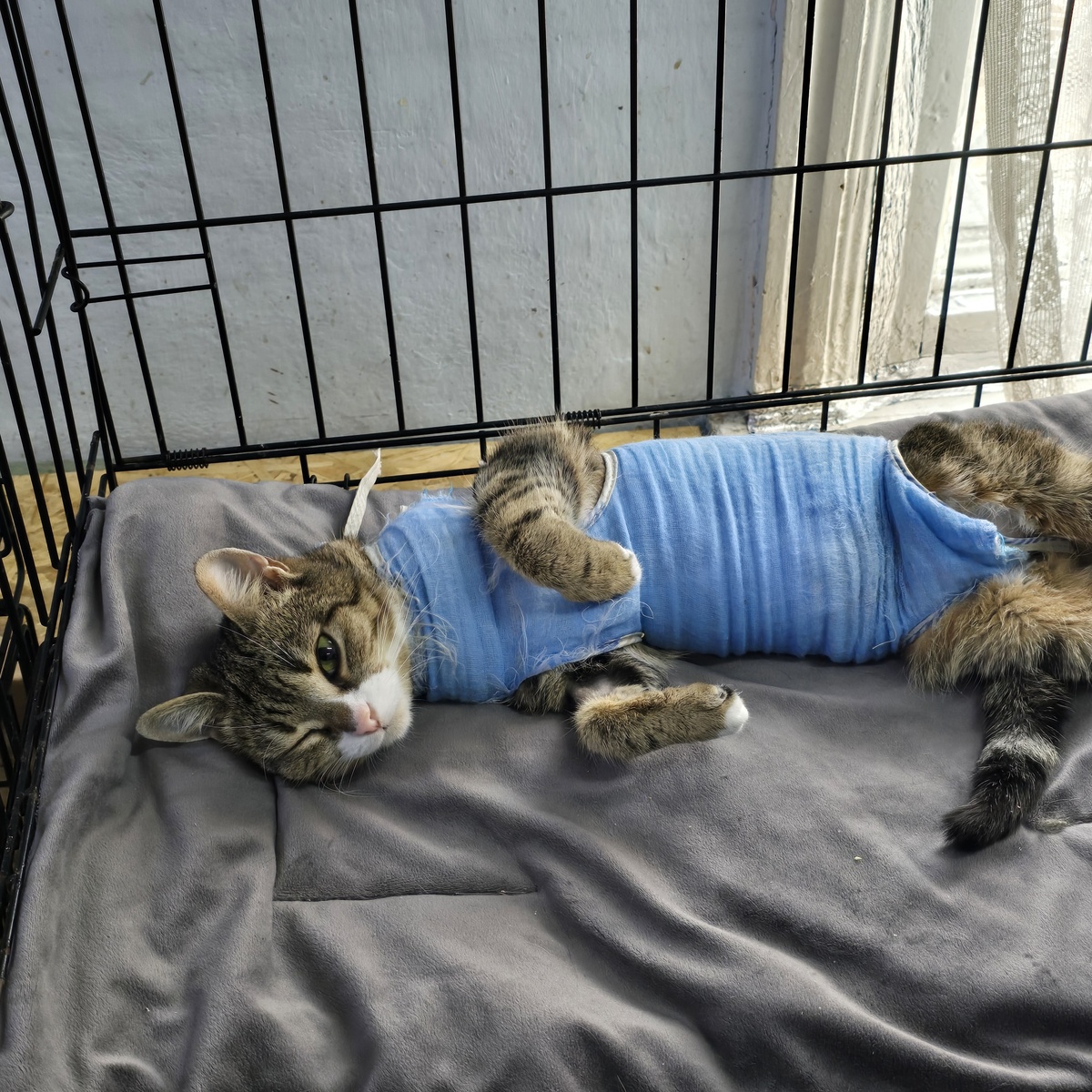 Смотрит вверх, обёрнутая в синюю ткань