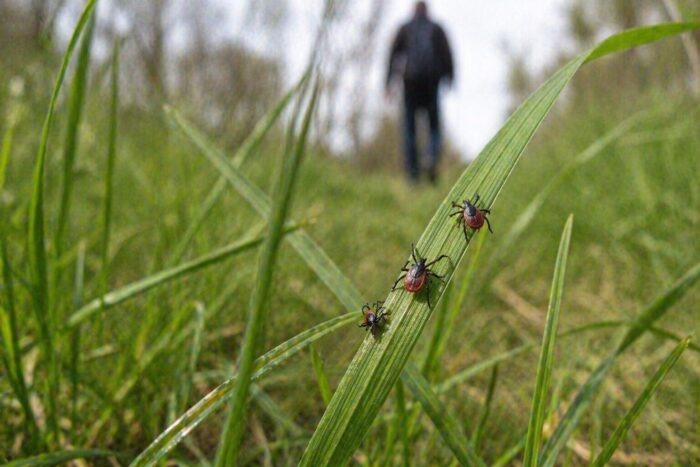 Изображение сгенерировано нейросетью.