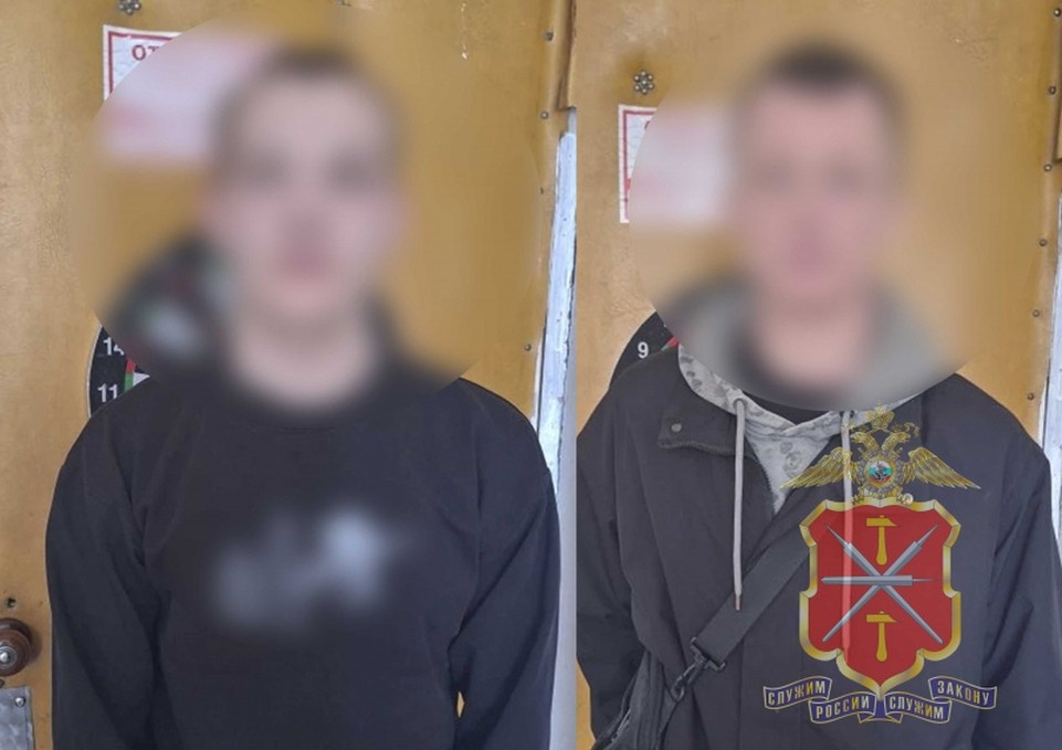   В Туле двое молодых людей попали под стражу из-за кражи магнитолы из иномарки материалы пресс-служб