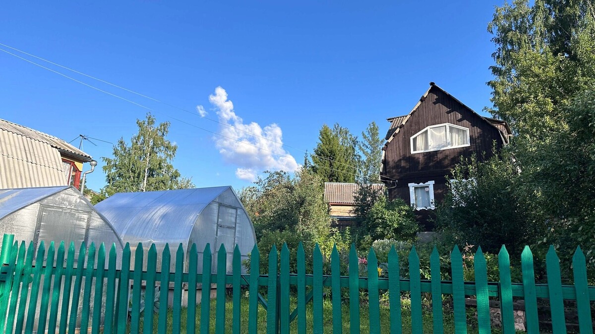    Как удобрить землю весной из подручных средств   1MI