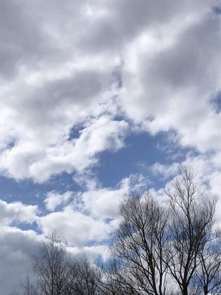 Сегодня солнечный день, почти тепло.