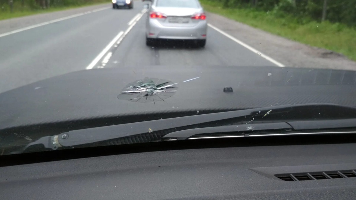 Фото из открытых источников 