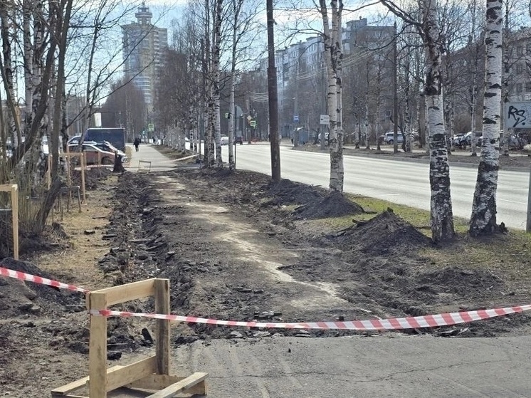     Фото со страницы Александра Цыбульского / VK