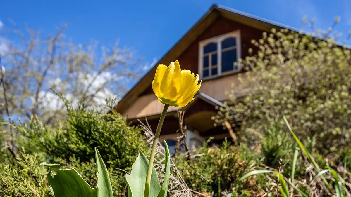    Источник: vm.ru/ Инна