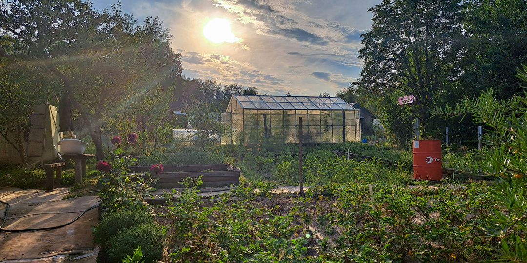 Дачи за 2–4 млн зависли: что происходит с рынком загородных участков под Екатеринбургом