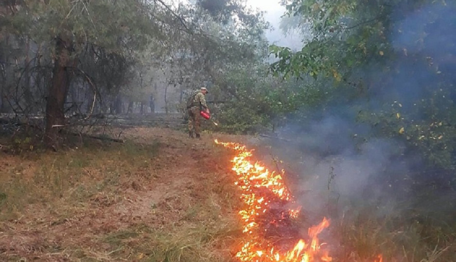 В Ростовской области с 1 мая введут особый противопожарный режим