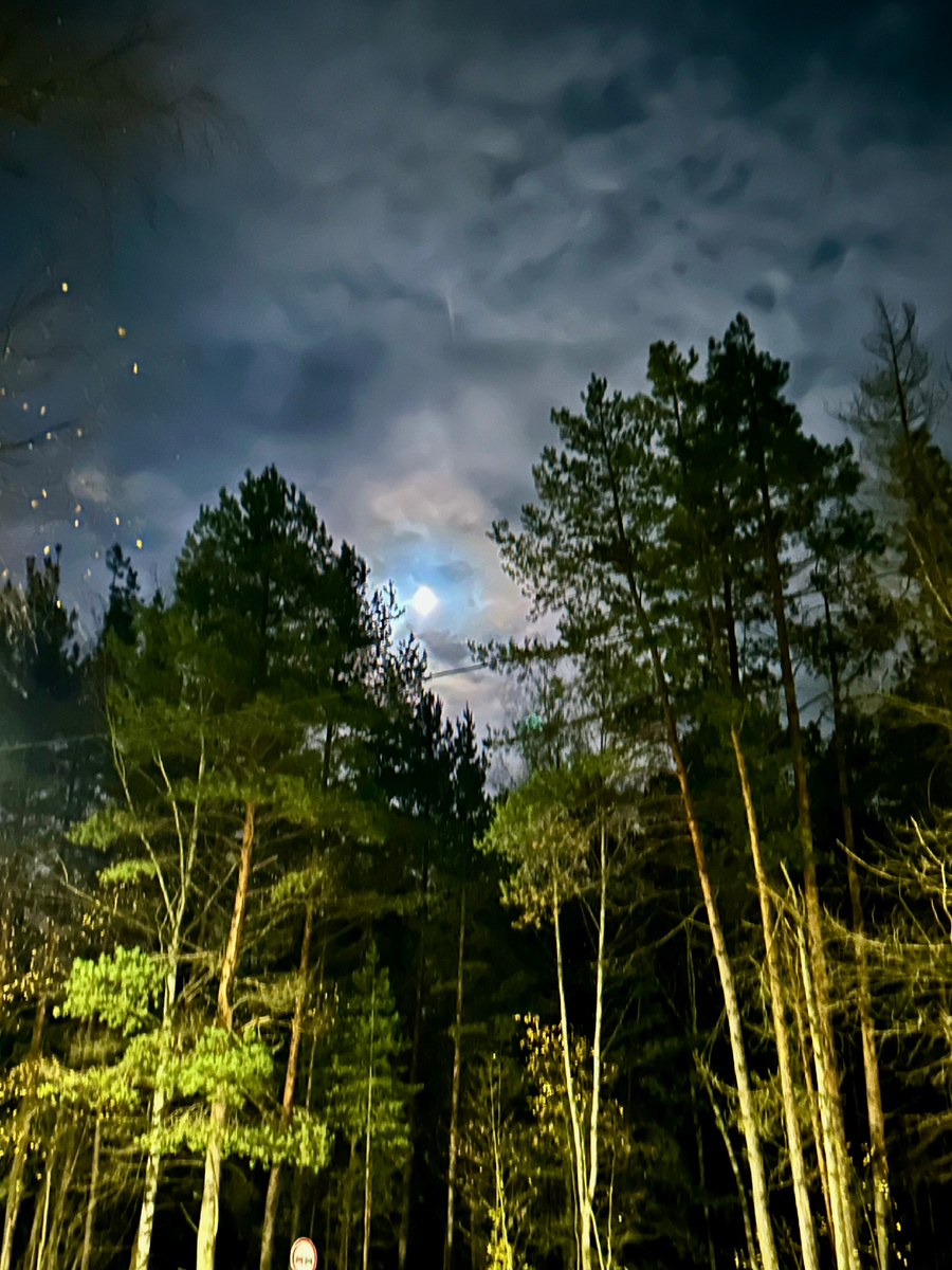 Мещёра. Фото автора 