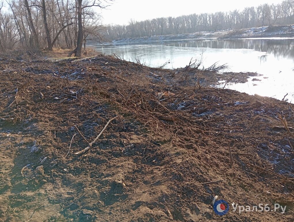    Фирма, которая очищала в Орске берега Урала, оказалась фиктивной с «бумажным» владельцем и директором