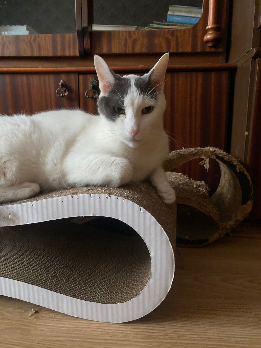 Ваши ожидания - это Ваши проблемы.