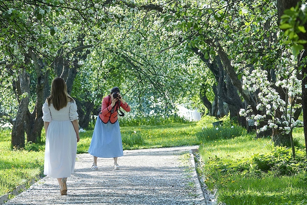    В майские праздники Москва цветет: яблони и сирень украшают бульвары и парки. / Фото: Аркадий Колыбалов/РГ