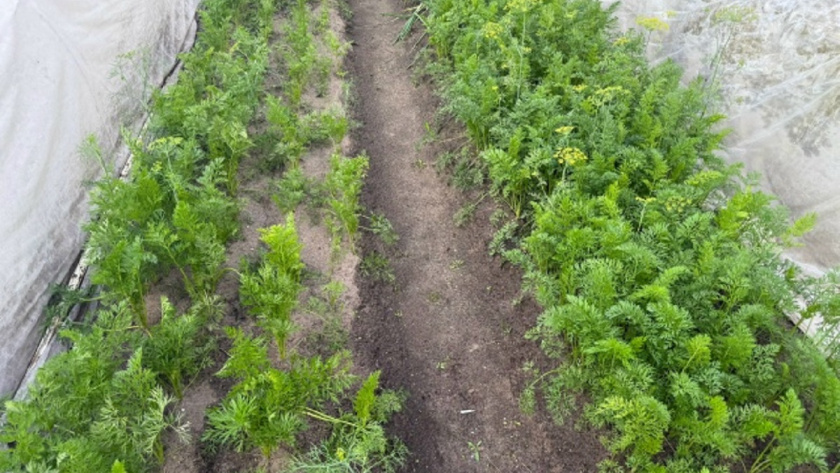    Фото из архива редакции