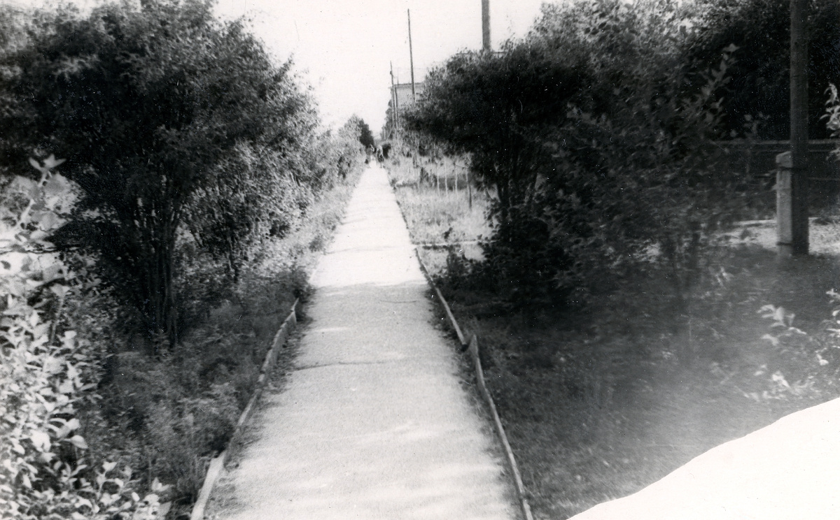 Улица Восточная, Нижний Тагил, 1967 год. Фото из коллекции Нижнетагильского музея-заповедника «Горнозаводской Урал»