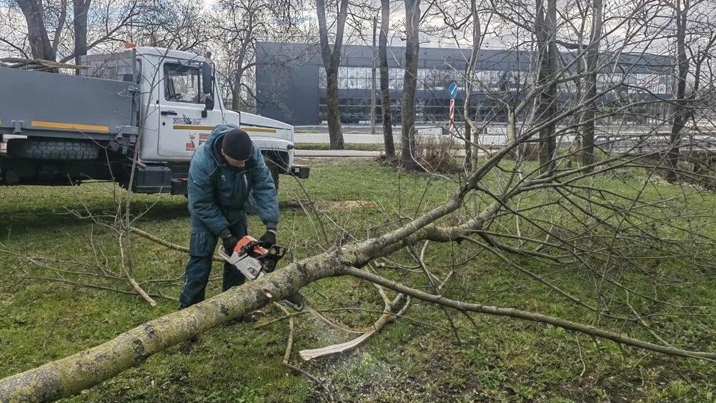    Фото: пресс-служба комитета по благоустройству Санкт-Петербурга