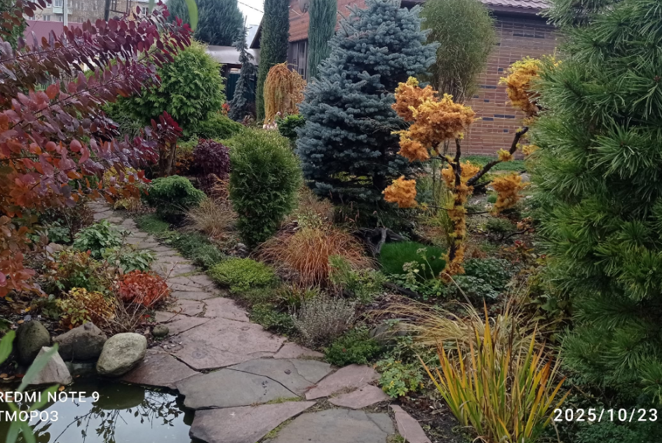 издалека, конец октября