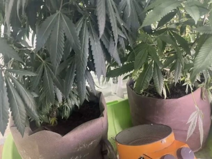   Пресс-служба УМВД России по Астраханской области