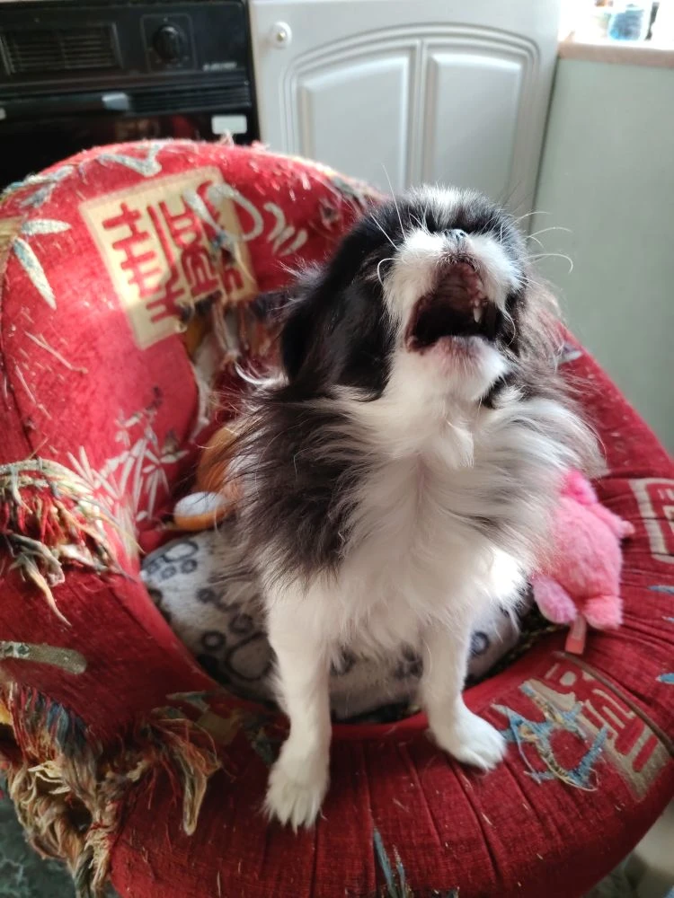 ну почему опяяяять???