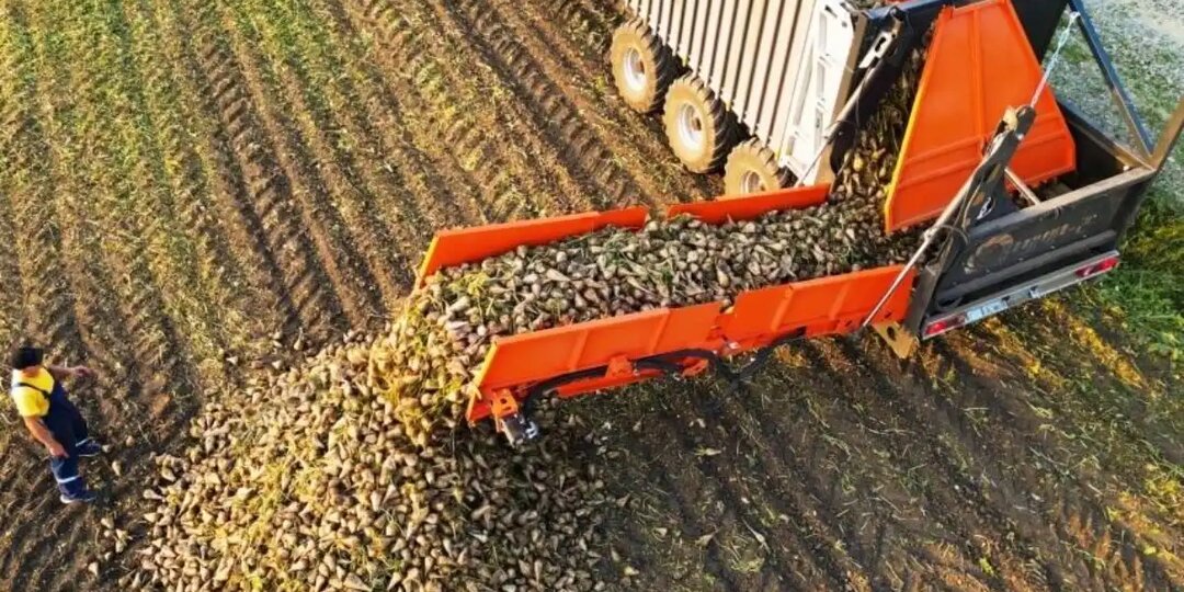 Российские аграрии из четырех регионов оценили новую разработку барнаульского предприятия — перегрузчик свёклы