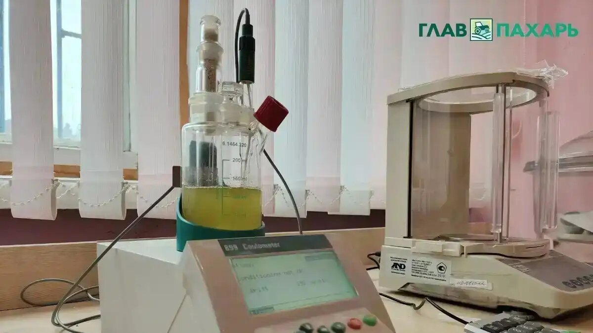 Фото: © Артем Борисов / «ГлавПахарь» / Glavpahar.ru
Фотография носит иллюстрационный характер