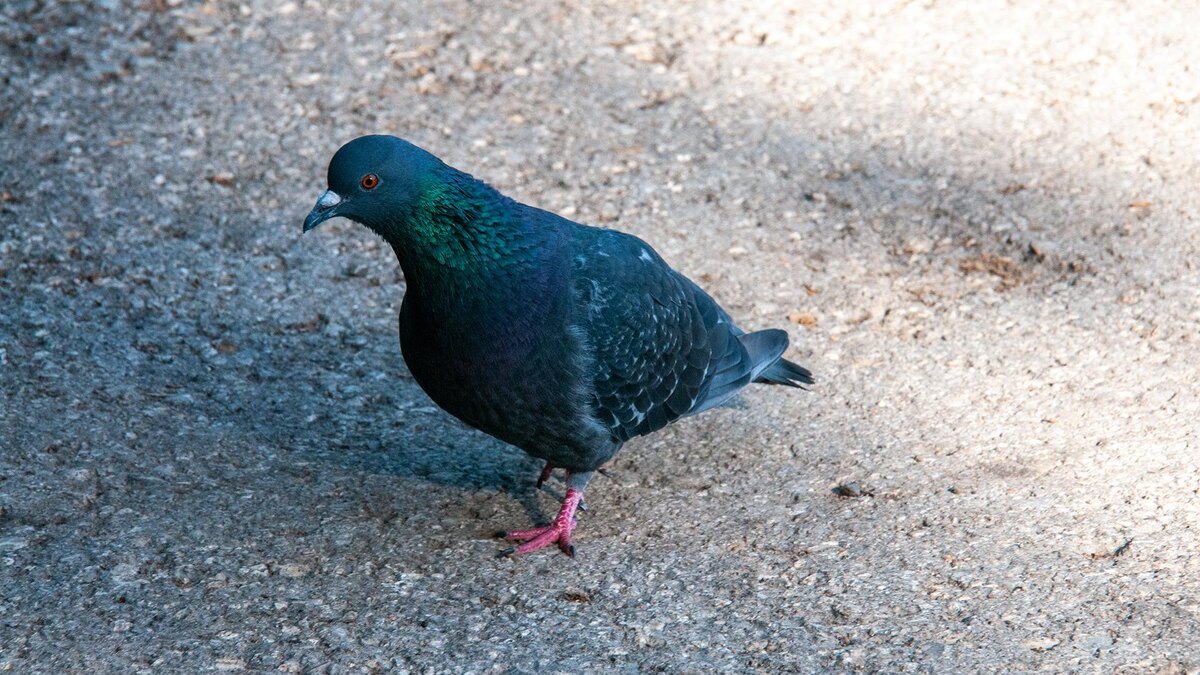 Фото: Svetlana Vozmilova/globallookpress.com