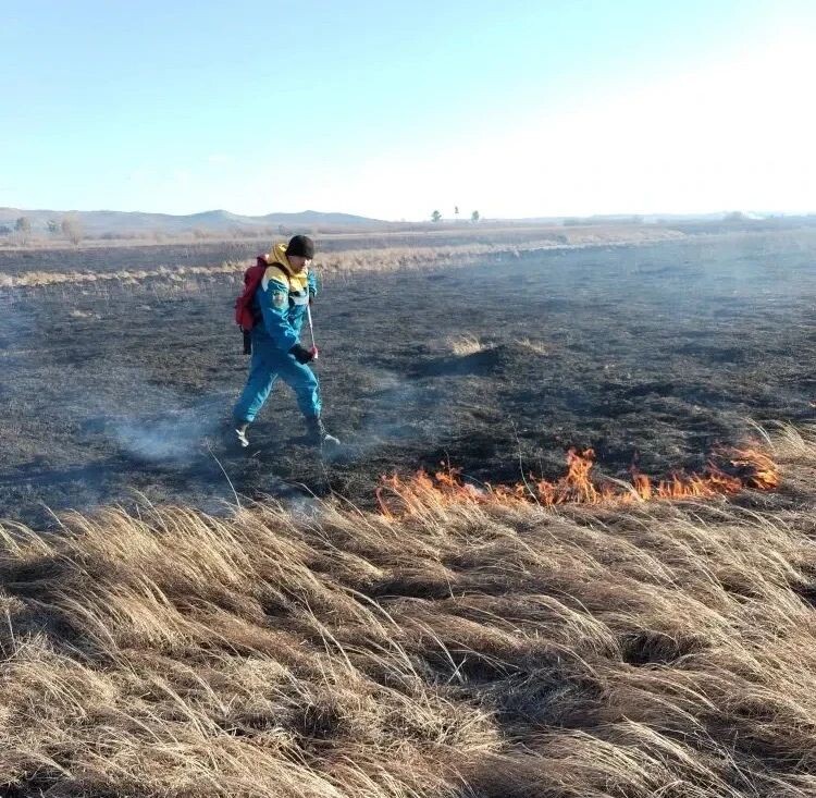    Фото: Пресс-служба Минлеса Забайкалья