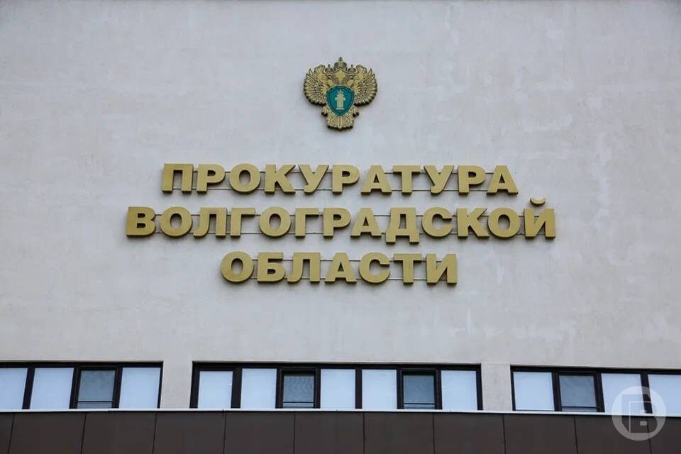    фото: Дмитрий Рогулин / "Городские вести"