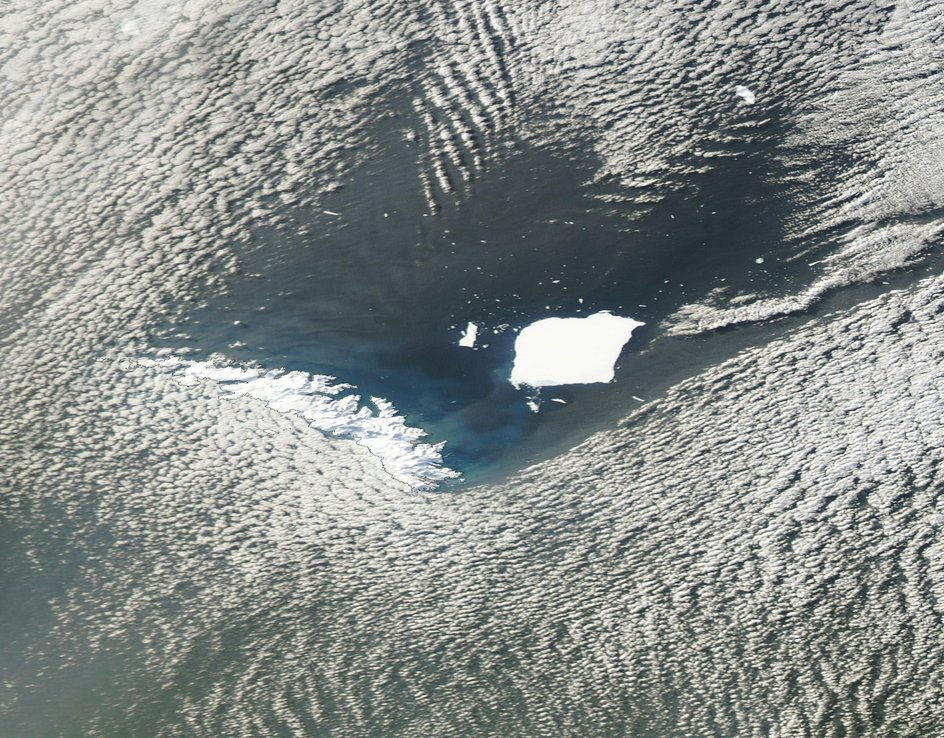 Фото: Wikimedia / Общественное достояние