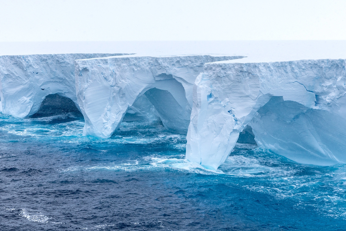 Фото: MAX-канал "Звезда Алтая"